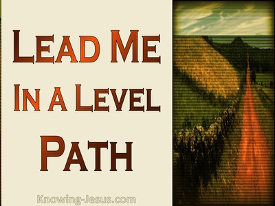 Psalm 27:11 Teach Me Your Way (brown)